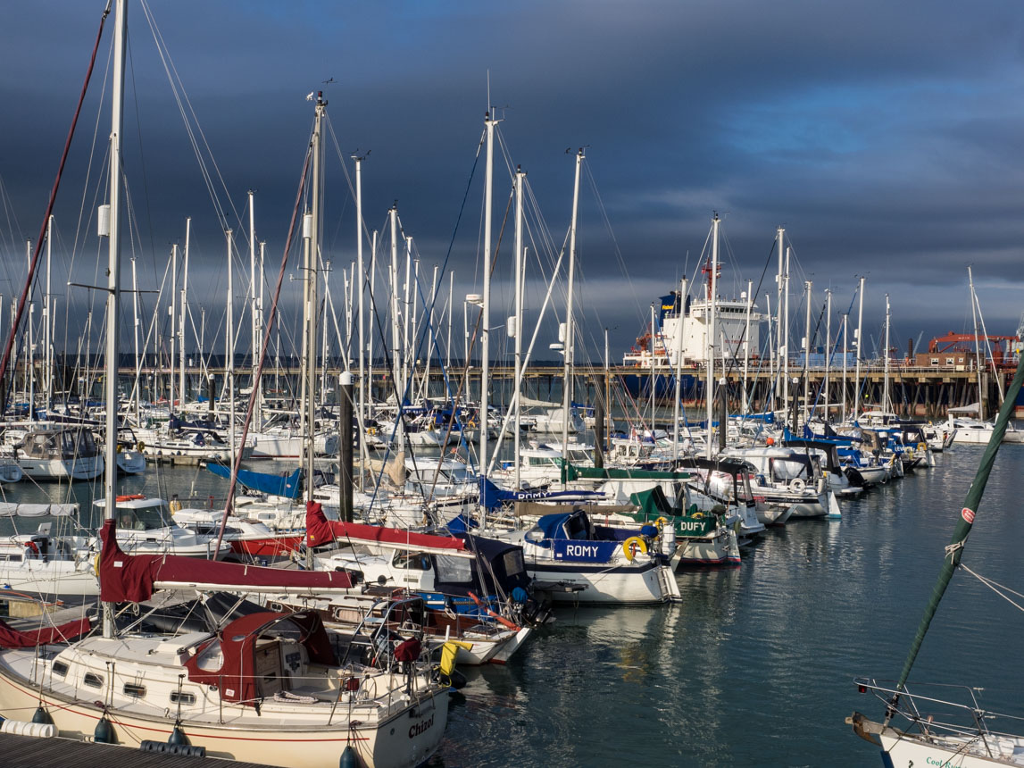 Dorade sur son lit de legumes
